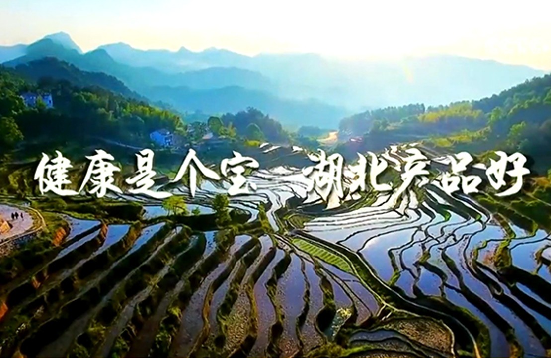 1752563407892011.jpg 文章内页.jpg